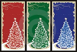 3christmastrees.jpg